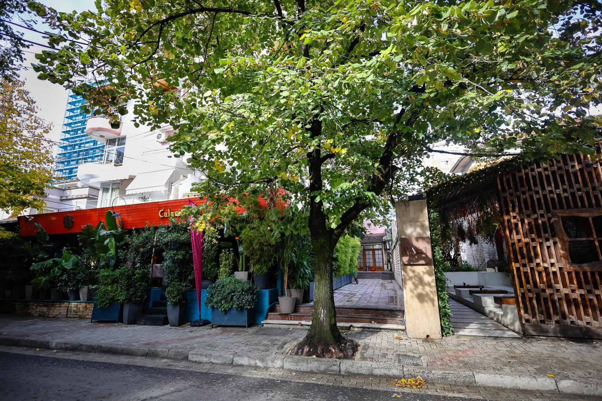 Noela'S Place Τίρανα Εξωτερικό φωτογραφία